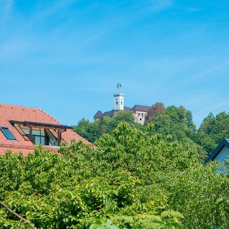 Arto Castle View Apartment Ljubljana Buitenkant foto
